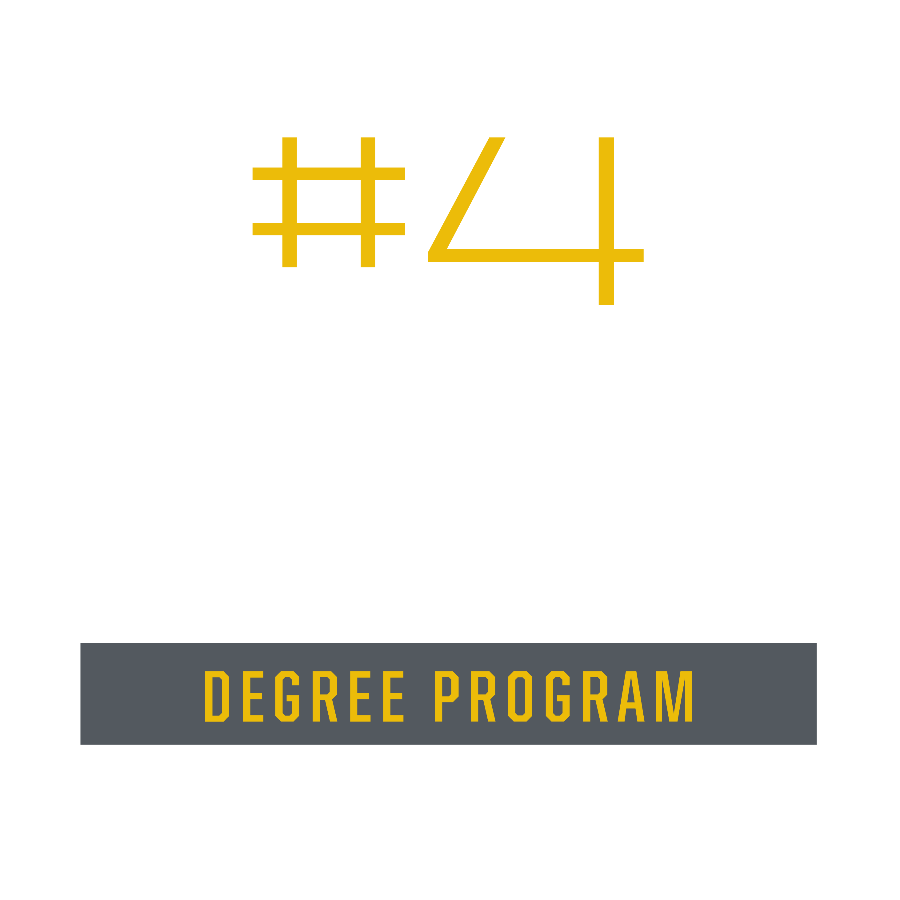#4 Information Technology Degree Program 