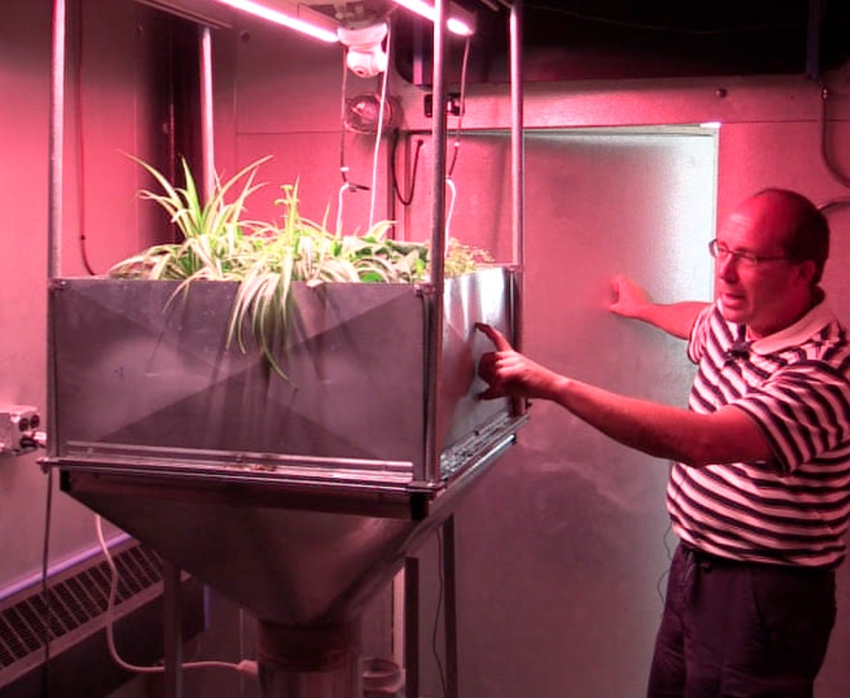 Bill Hutzel checks the Biowall research project's plants