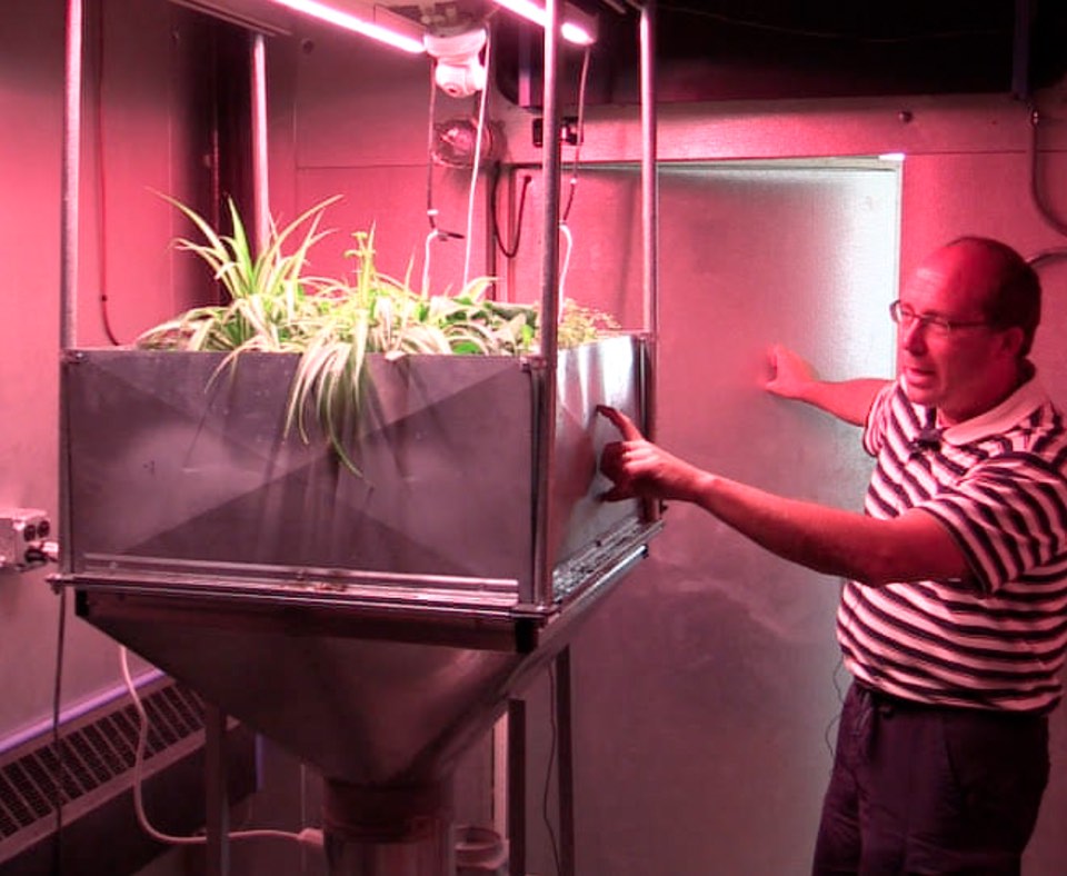 Hutzel describes the prototype biowall in the Applied Energy Lab's environment chamber