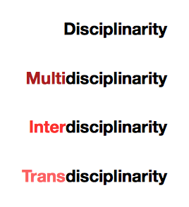 Disciplinarity -> Multidisciplinarity -> Interdisciplinarity -> Transdisciplinarity