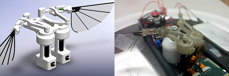 A rendering and a prototype of a flapping wings robot.