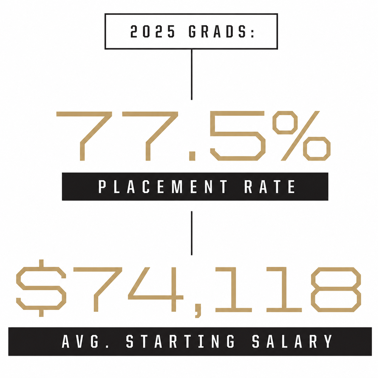 Placement Data
