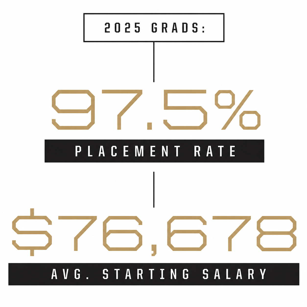 Placement Data