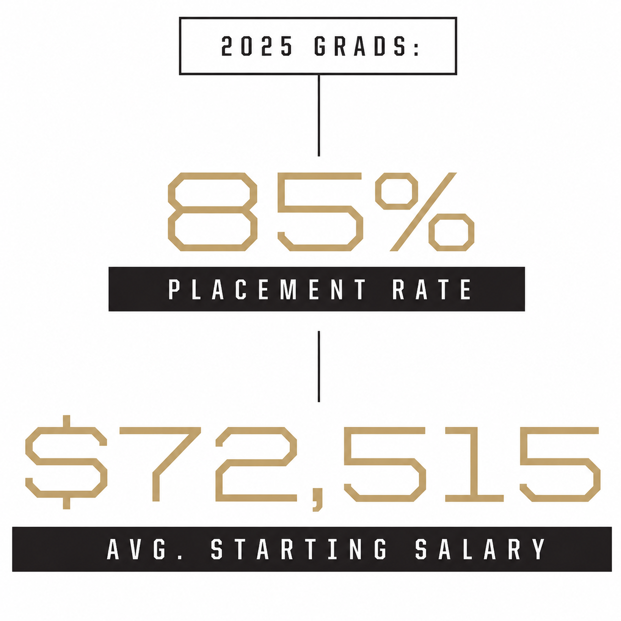 Placement Data