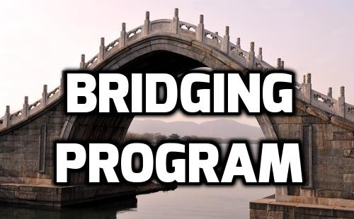 GDI Bridging Program