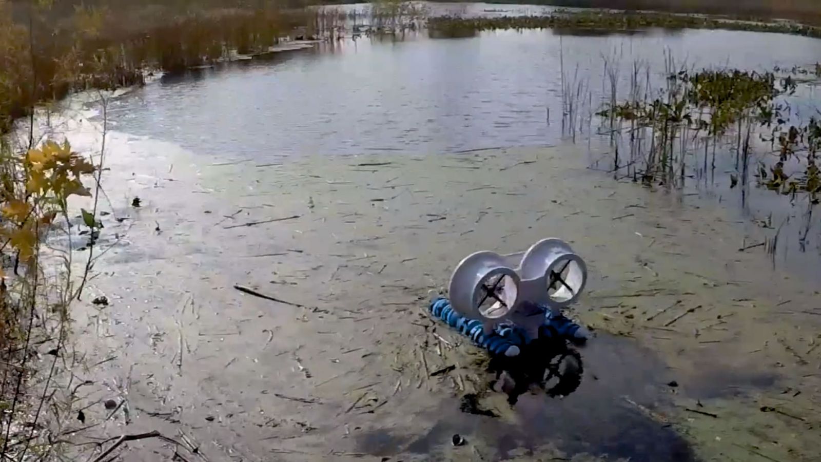 Byung-Cheol "B.C" Min's SMARTBoat 5, navigating an algae bloom at the Celery Bog Nature Area in West Lafayette, Ind. (Image provided.)