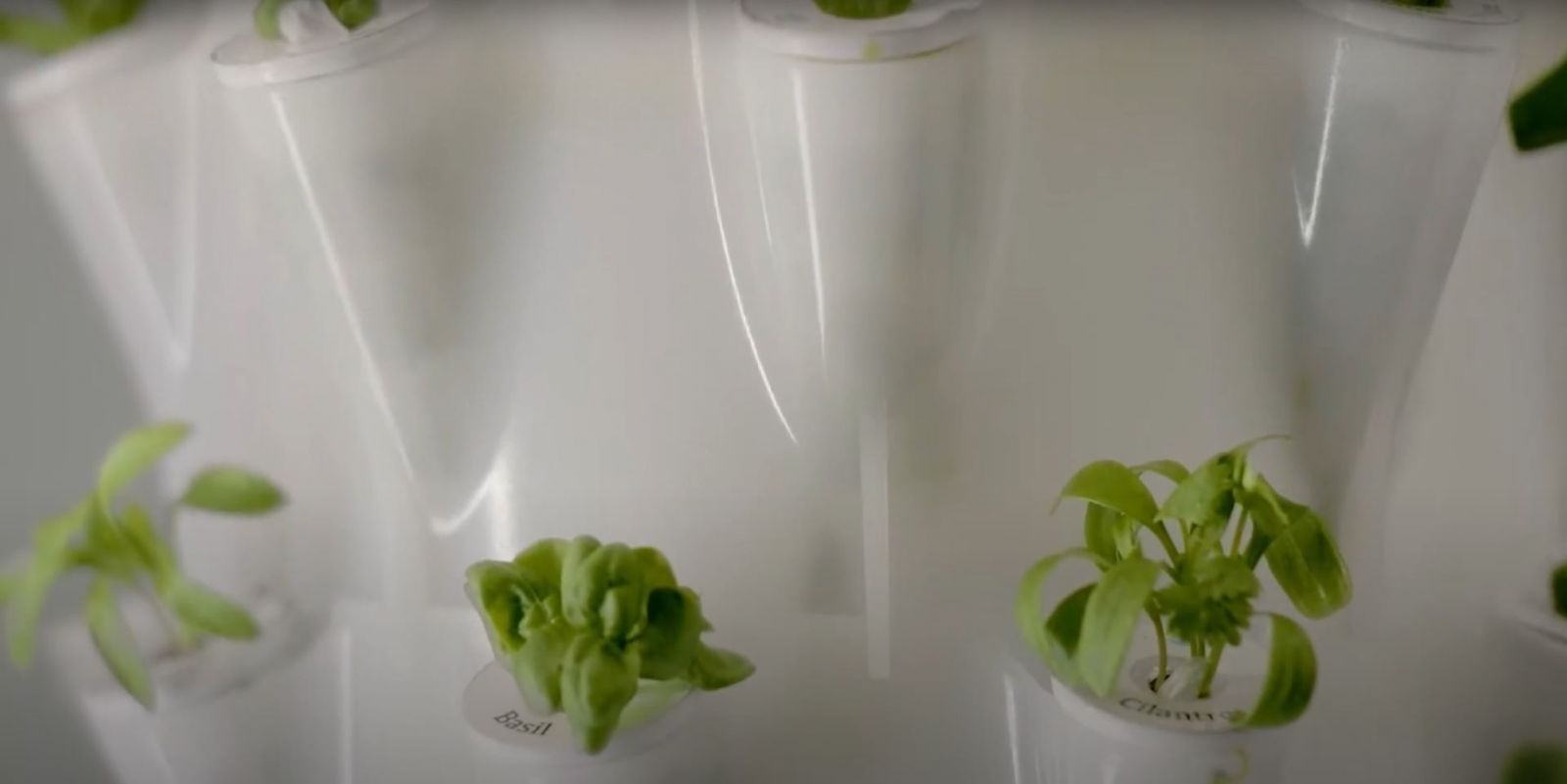 A detail of Anu's smart garden with growing seed pods outfitted into a functioning unit. (Photo: Heliponix LLC)