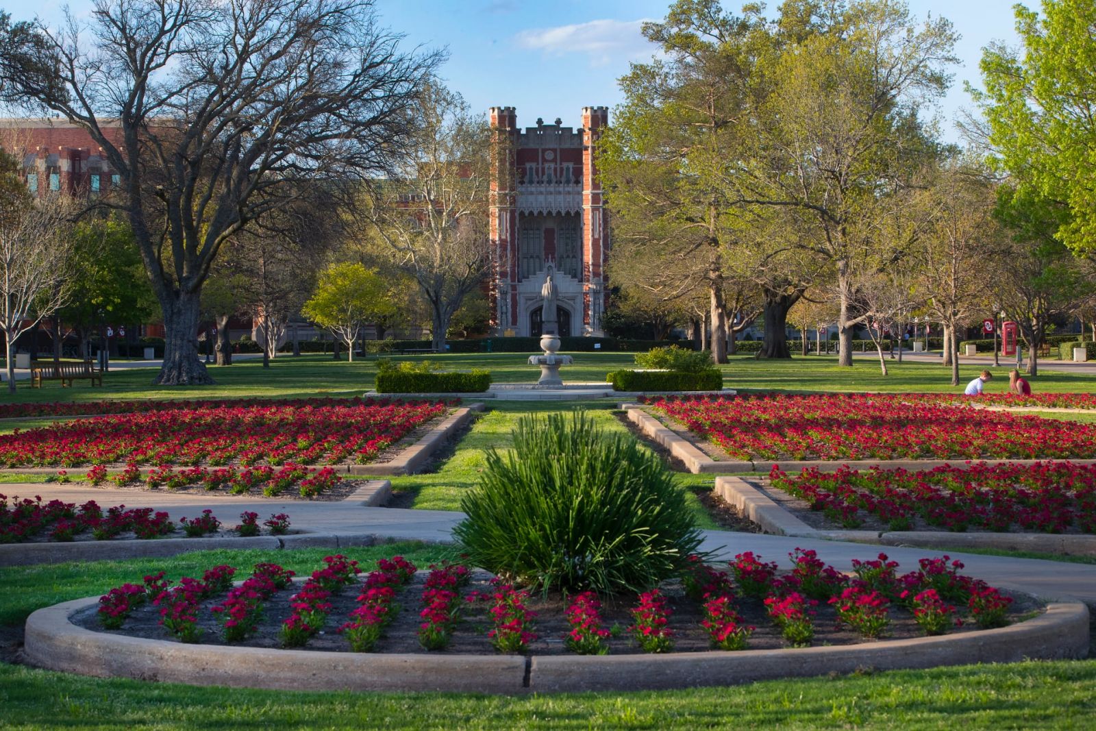 A view looking north up the South Oval toward the Bizzell Memorial Library at the University of Oklahoma (Photo courtesy of the University of Oklahoma; used with permission)