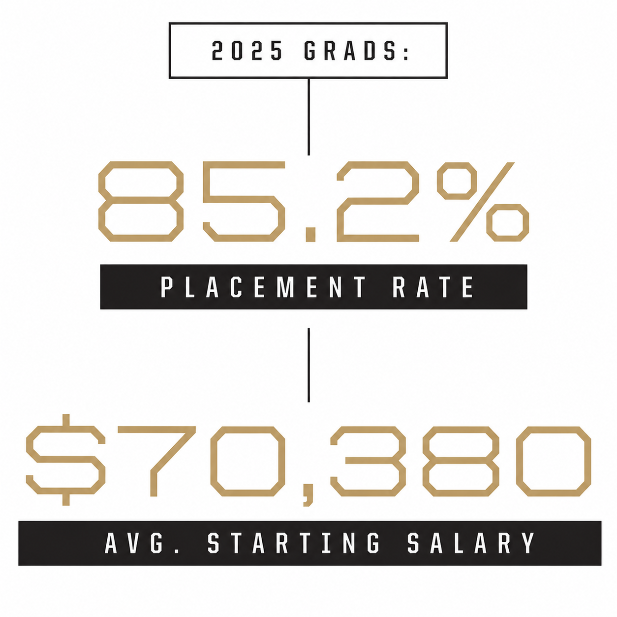 Placement Data