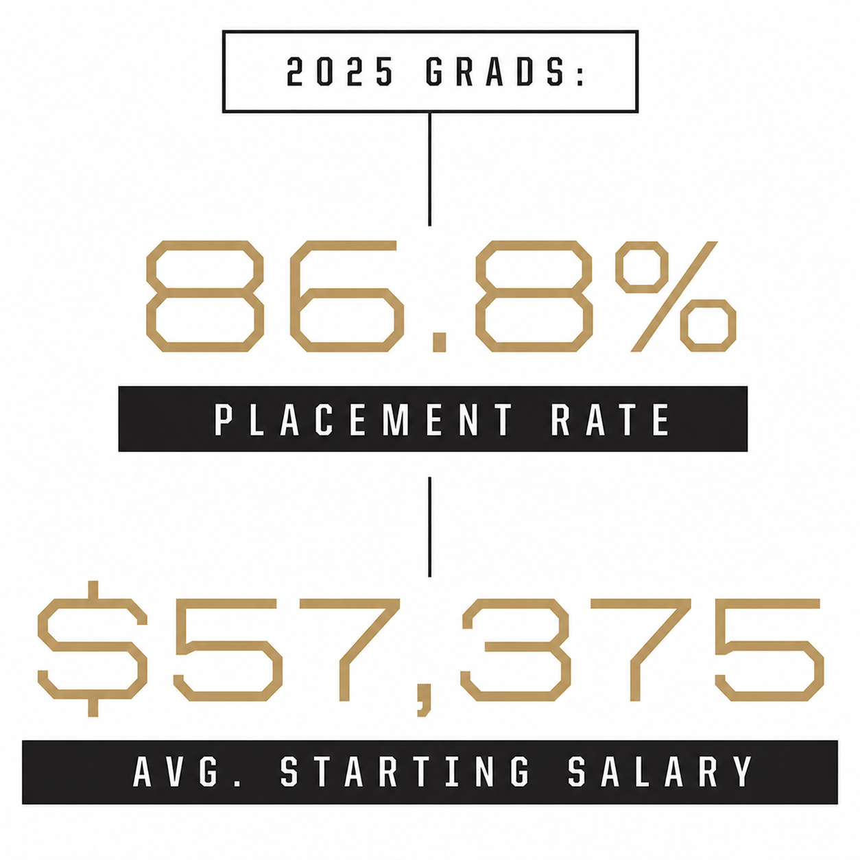 Placement Data