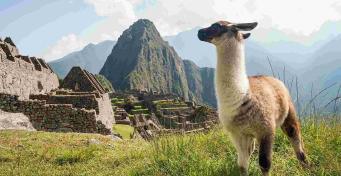 Tech, Design, and Global Skills in Chile and Peru