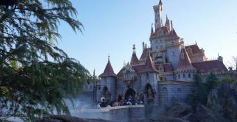 Themed Attraction Design