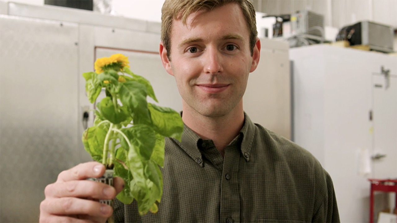 Scott Massey, founder and CEO at anu (stylized), holds a sunflower cultivated in one of the company’s seed pods. The company has received a $200,000 Indiana Manufacturing Readiness Grantto mass manufacture aeroponic seed pods. The grants are provided by the Indiana Economic Development Corp. and administered by Conexus Indiana and the Next Level Manufacturing Institute. (Photo/Indiana Economic Development Corp.)