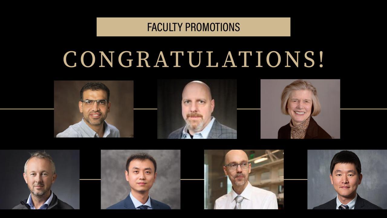 Seven Purdue Polytechnic faculty have received well-deserved promotions effective August 18, as approved by the Purdue University Board of Trustees. 