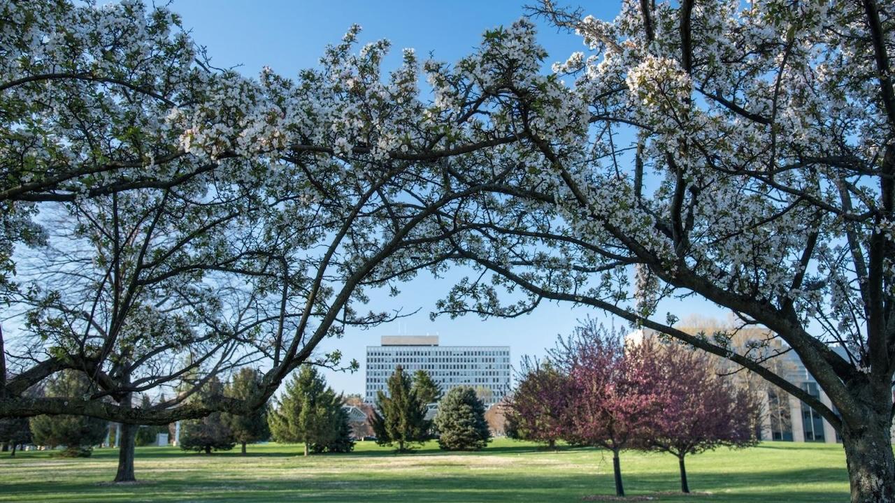The NIST Gaithersburg campus in the spring. (Photo credit: J. Stoughton/NIST)