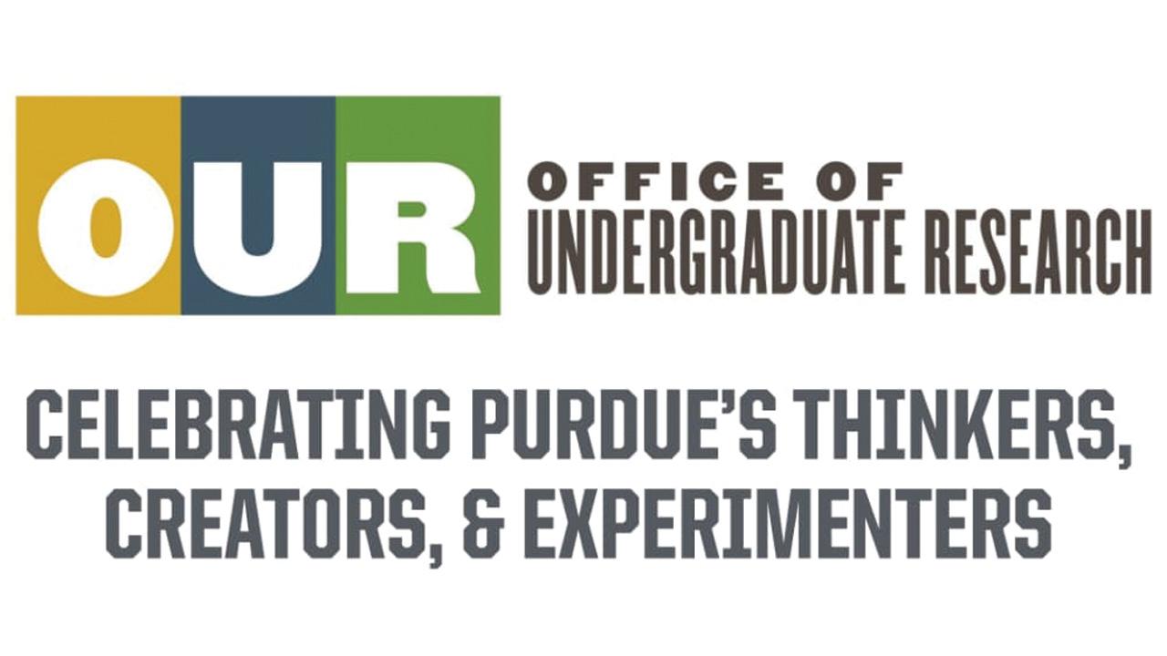 Undergraduate researchers present projects at fall expo