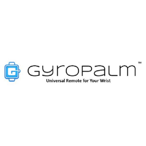 GyroPalm