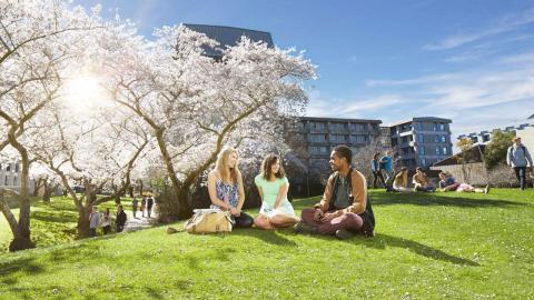 Univ of Canterbury campus