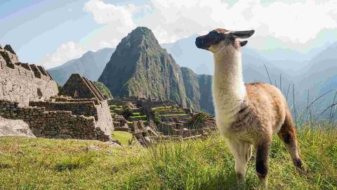 Tech, Design, and Global Skills in Chile and Peru