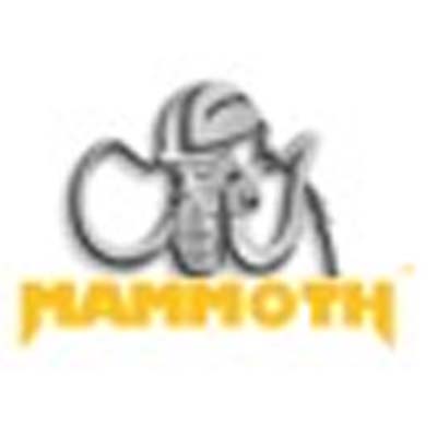 Mammoth Construction