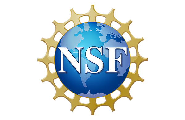 NSF Logo