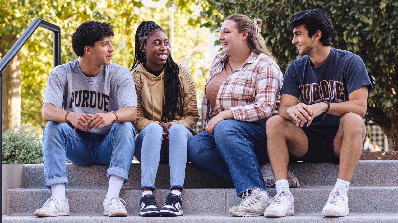 Polytechnic Student Experience
