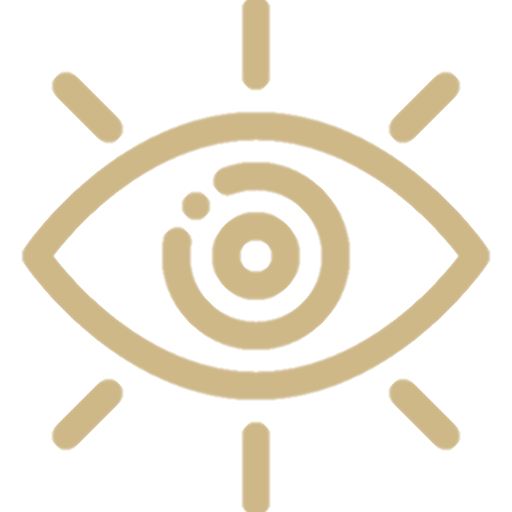 Vision